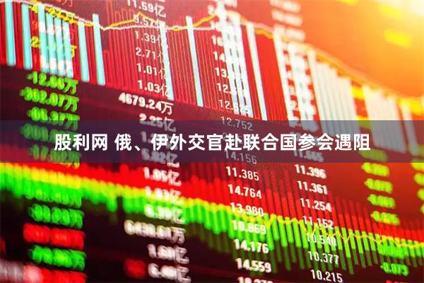 股利网 俄、伊外交官赴联合国参会遇阻