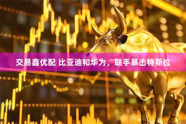 交易鑫优配 比亚迪和华为,联手暴击特斯拉