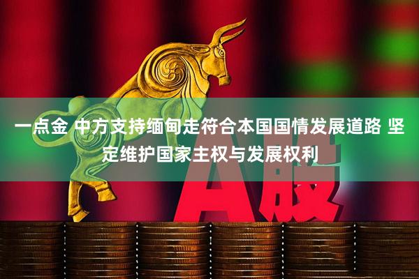 一点金 中方支持缅甸走符合本国国情发展道路 坚定维护国家主权与发展权利